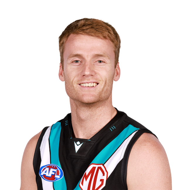Willem Drew profile picture